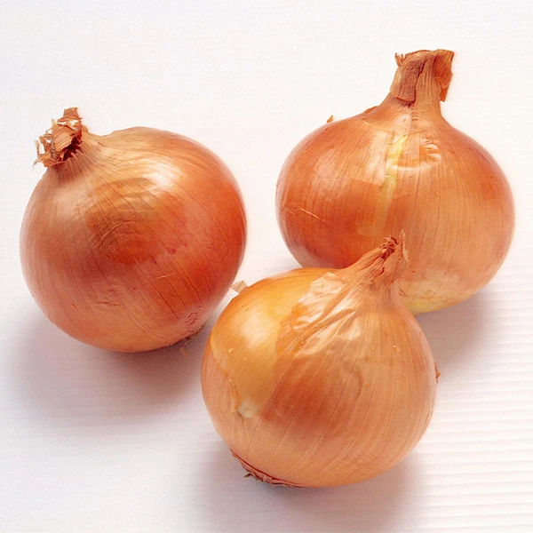 Fresh Orgnic 20kg-os kiszerelésű sárgahagyma